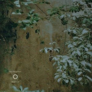 国产美女牲交视频
