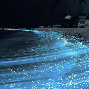 国产美女牲交视频
