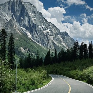 国产美女牲交视频
