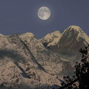 国产美女牲交视频
