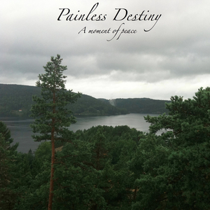 国产美女牲交视频
